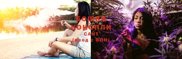 индика Балахна